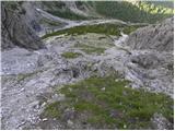 Lienzer Dolomitenhütte - Große Gamswiesenspitze